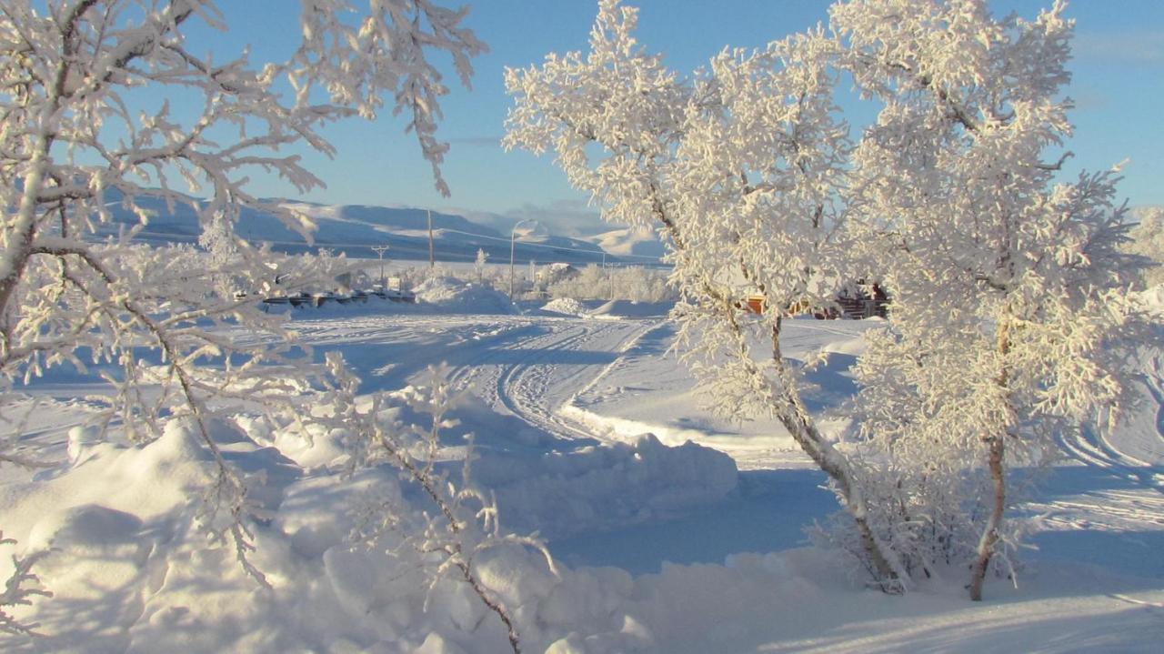 Guesthouse Haltinmaa Kilpisjärvi Eksteriør billede